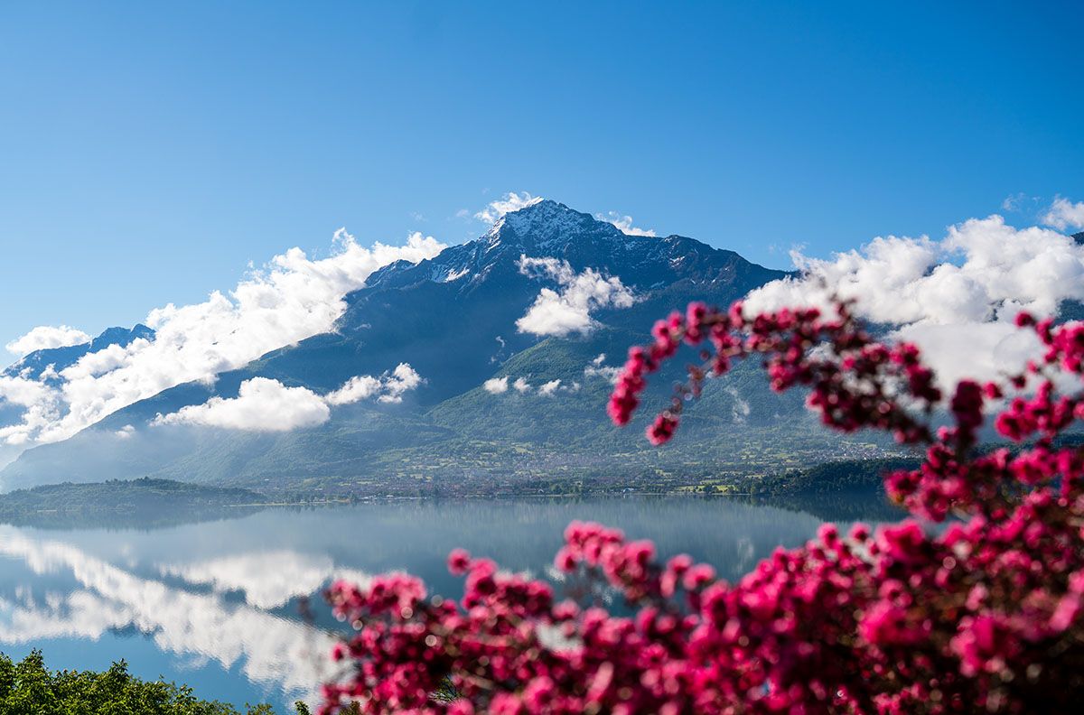 Ferie sul Lago di Como Bucaneve